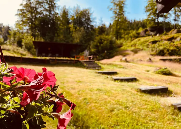 לינה וארוחת בוקר U Skota