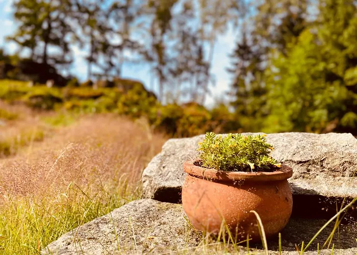 U Skota * יאנוב נאד ניסו